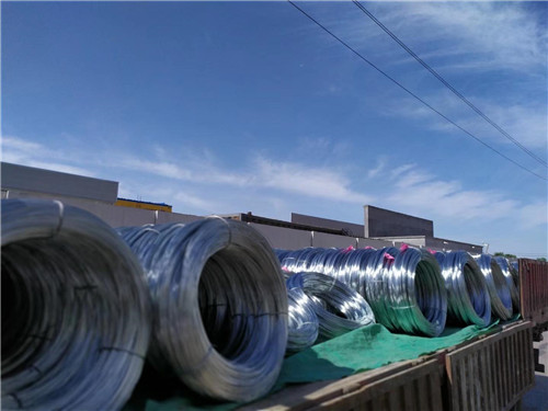 mmexport1559031710061.jpg mmexport1559031710061.jpg