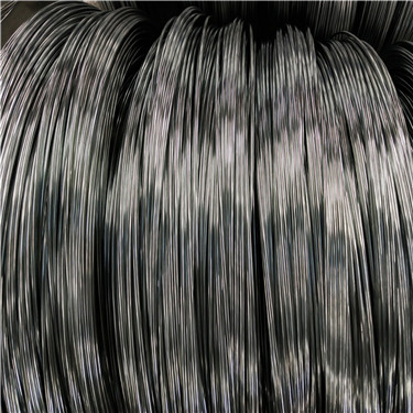 IMG_20180704_095124_1.jpg IMG_20180704_095124_1.jpg