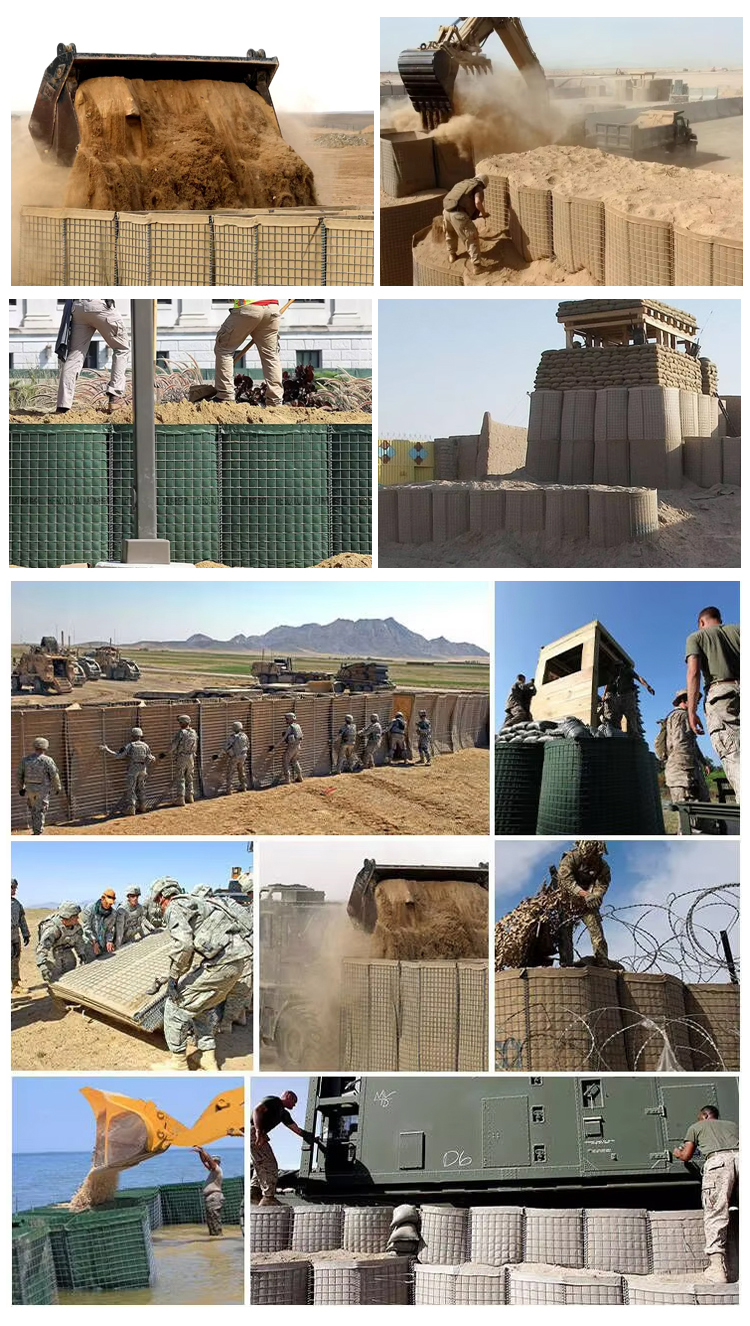 配圖3.jpg 配圖3.jpg