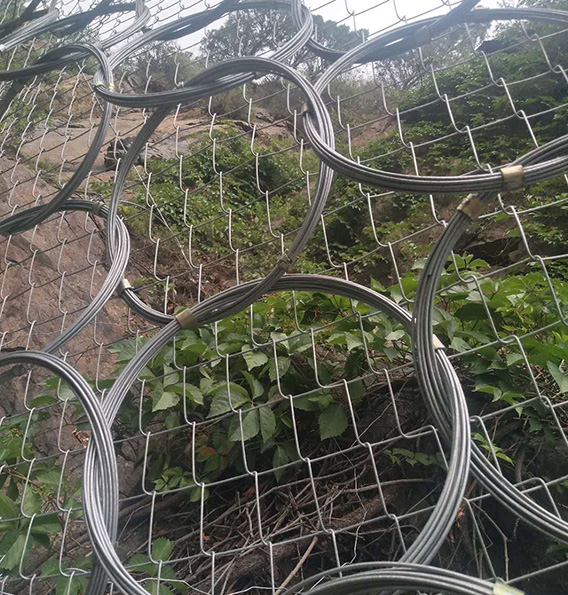 環(huán)形網(wǎng)